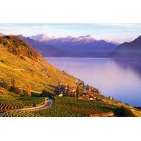 2 for 1 Digital Swiss Coupon Pass Montreux