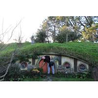 2-Day Hobbiton, Rotorua and Waitomo Tour from Auckland