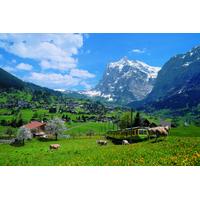 2-Day Jungfraujoch Top of Europe Tour from Zurich: Interlaken or Grindelwald