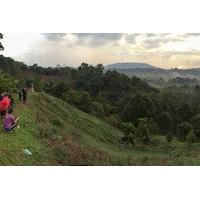 2-Day Temburong Highlights Tour from Bandar