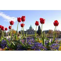 2-Day Victoria and Butchart Gardens Tour with Overnight at the Inn at Laurel Point