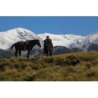 2-Hour River Trail Horse Trek