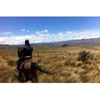 2-Day at La Hacienda Including Horse Riding and Otavalo Indigenous Market