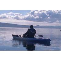 2-Hour Guided Kayak or Paddle Board Tour