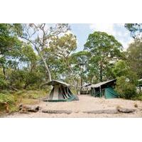 2-Day Moreton Island 4WD Camping Tour from Brisbane