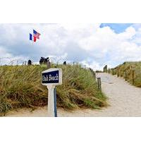 2-Day WWII Normandy Tour from Paris: D-Day Landing Beaches, Bayeux and Colleville-sur-Mer