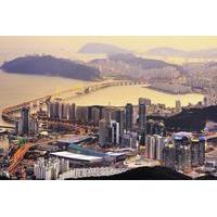 2-Night Busan Semi-Independent Sightseeing Tour