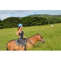 2 hour horseback riding tour