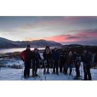 2-Hour Guided Snowshoe Walk on Tromsoya Island in Tromso