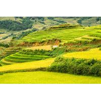 2-Night Sapa Tribal Villages Tour from Hanoi