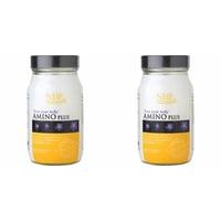 2 pack natural health practice amino support 90s 2 pack bundle