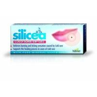2 pack hubner silicea cold sore lip gel 2g 2 pack bundle