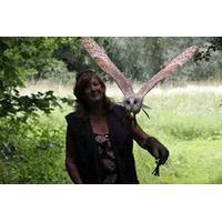 2 for 1 Woodland Walk and Owl Flying Experience at Lee Valley Park