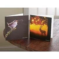 2 Woodland Chorus Cards