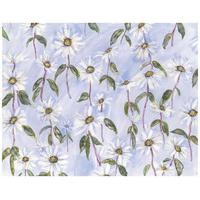 2 Daisy Daisy Floral Wrapping Paper & Tags