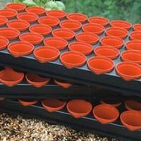 2 growing trays with 80 6cm pots