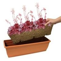 2 Heuchera Fire Chief Trough Autumn Insert Plastic