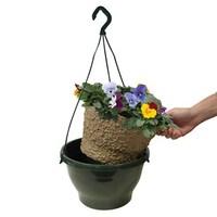 2 pansy cascadia xl hanging basket autumn inserts plastic