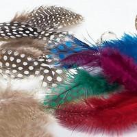 2 Packs of Decorative Feathers