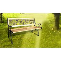 2 seater wood and cast iron garden bench