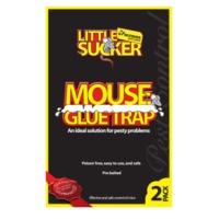 2 pack of mouse glue traps