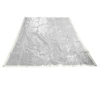 2 x 3m Clear Toolzone Pvc Tarpau...