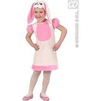 2-3 Years Pink Bunny Costume