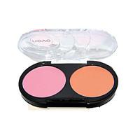 2 blush matte powder coloured gloss face multi color china