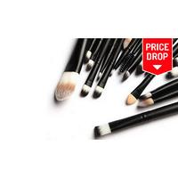 20 Piece Cosmetic Make Up Brushes Set