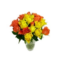 20 Assorted Petite Roses