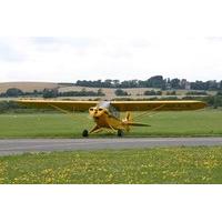 20 Minute Introductory Piper Cub Flying Experience
