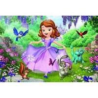 20pcs Color Puzzle - Sofia Among...