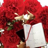 20 Red Carnations with Gold Foliage plus a 2017 Diary