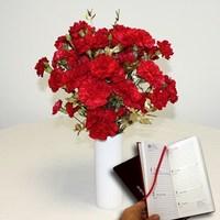20 Red Carnations with White Ceramic Vase plus a 2017 Diary