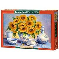 2000 Piece Castorland Jigsaw Golden Blue Trisha Hardwick