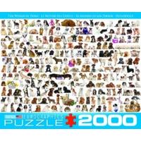 2000 Piece The World Of Dogs Puzzle