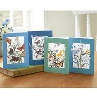 20 british butterflies cards