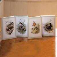 20 Gould"s British Birds Cards