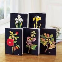20 Mrs Delany Botanics Greetings Cards