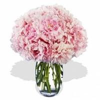 20 Peonies Bouquet In A Glass Va...