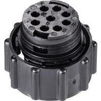 205838-1 TE Connectivity Content...