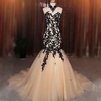 2017 Formal Evening Dress Fit Flare Halter Court Train Lace / Tulle with Appliques / Lace