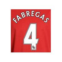 2010-11 Arsenal Cesc Fabregas Home Shirt Printing