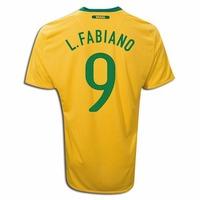 2010 11 brazil world cup home lfabiano 9