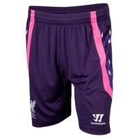 2013-14 Liverpool Away Goalkeeper Shorts (Purple) - Kids