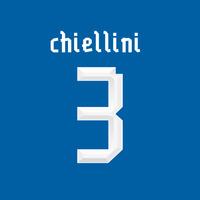 2013-14 Giorgio Chiellini Italy Home Shirt Printing