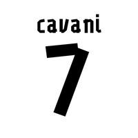 2013-14 Edinson Cavani Uruguay Home Shirt Printing