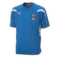 2012-13 Hawick Royal Albert Training Jersey (Blue)