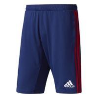 2017 2018 ajax adidas training shorts dark blue