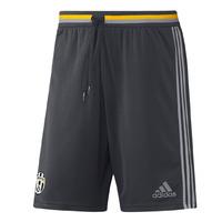 2016-2017 Juventus Adidas Training Shorts (Grey) - Kids